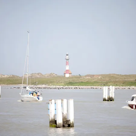 Lejlighed Apartment In Nieuwpoort Located With A View Of The Sea